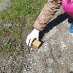 Čistilna akcija 2018 9